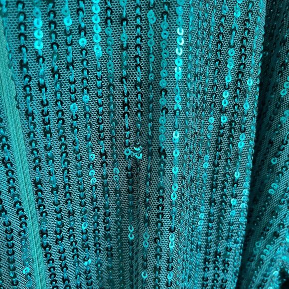 Ivy City Co Jagger Sequin Belted Dress NEW NWT - Picture 9 of 10